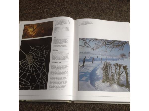 De 4 seizoenen ,de lente ,de zomer,de herfst,de winter