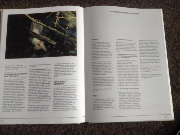 De 4 seizoenen ,de lente ,de zomer,de herfst,de winter