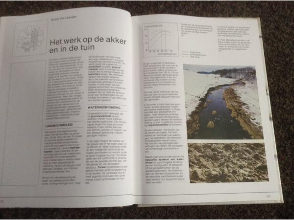 De 4 seizoenen ,de lente ,de zomer,de herfst,de winter