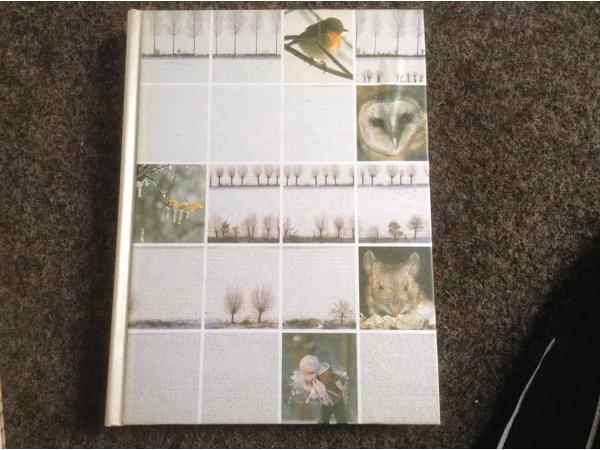 De 4 seizoenen ,de lente ,de zomer,de herfst,de winter