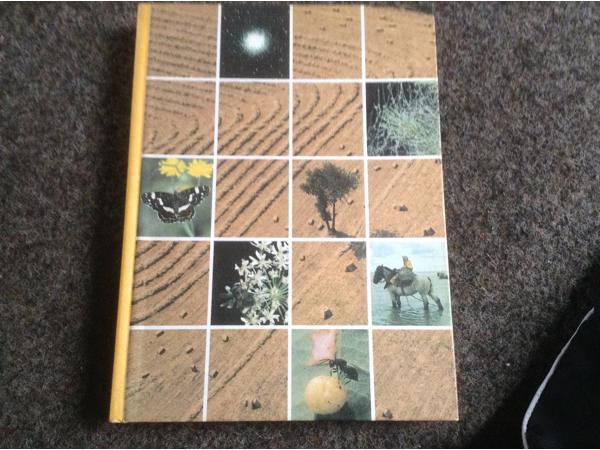 De 4 seizoenen ,de lente ,de zomer,de herfst,de winter