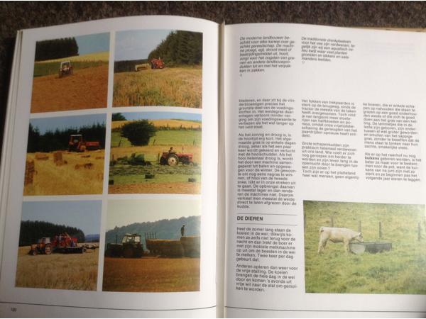 De 4 seizoenen ,de lente ,de zomer,de herfst,de winter