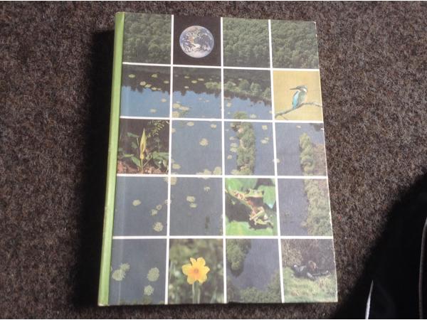 De 4 seizoenen ,de lente ,de zomer,de herfst,de winter