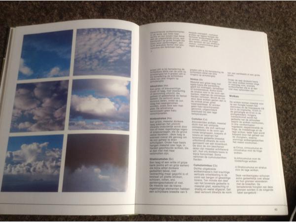 De 4 seizoenen ,de lente ,de zomer,de herfst,de winter