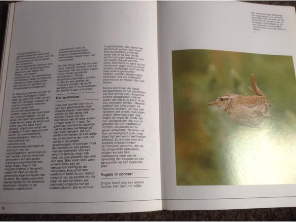 De 4 seizoenen ,de lente ,de zomer,de herfst,de winter