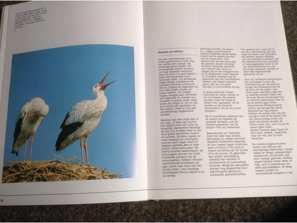 De 4 seizoenen ,de lente ,de zomer,de herfst,de winter