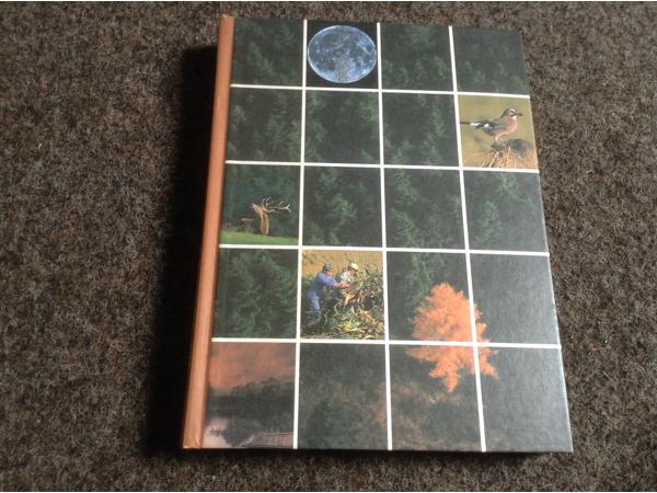 De 4 seizoenen ,de lente ,de zomer,de herfst,de winter