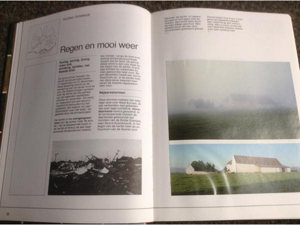 De 4 seizoenen ,de lente ,de zomer,de herfst,de winter