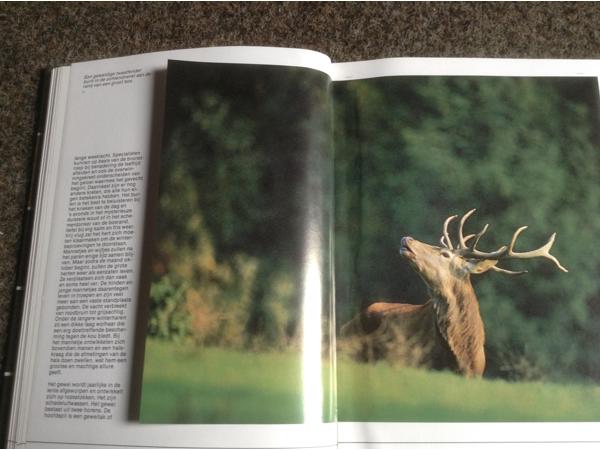 De 4 seizoenen ,de lente ,de zomer,de herfst,de winter