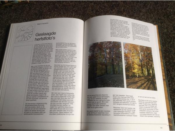 De 4 seizoenen ,de lente ,de zomer,de herfst,de winter