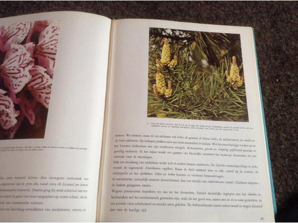 De 4 seizoenen ,de lente ,de zomer,de herfst,de winter