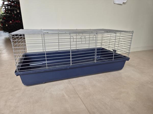 Caviakooi met blauwe bak