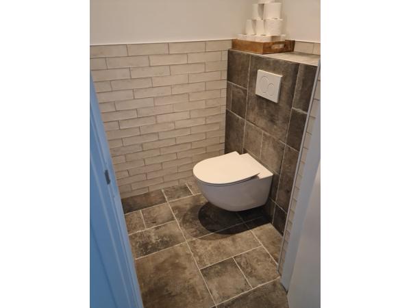 Boergondische Dallen 50x50 en multiformato robuuste plavuis