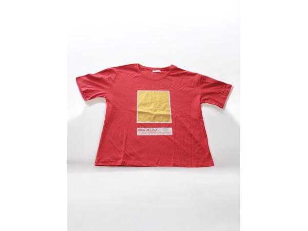 Glo-Story t-shirt Shine all day rood goud L/40