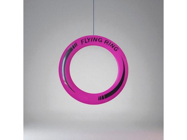 Frisbee met een Diameter van 25 Cm roze