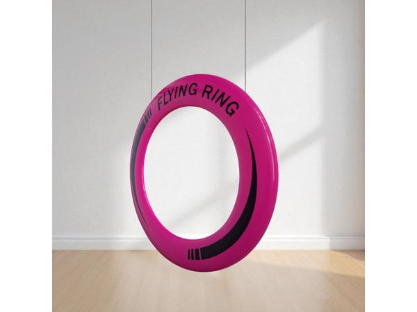Frisbee met een Diameter van 25 Cm roze