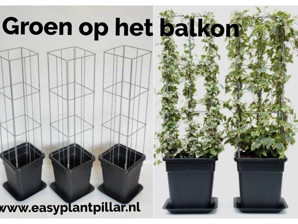 klimplantrekken 2021