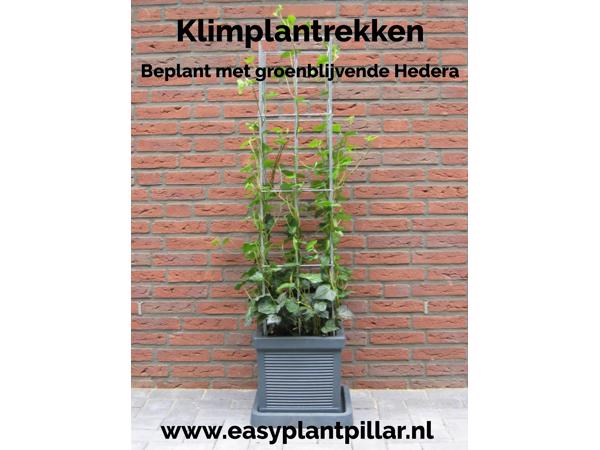 klimplantrekken 2021