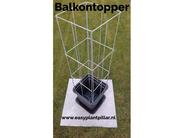 klimplantrekken 2021