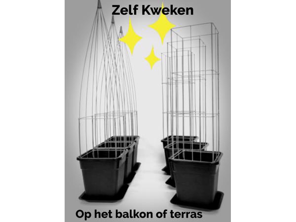 klimplantrekken 2021