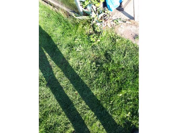 Te koop een oude schaftkeet reeds gedeeltelijk opgeknapt