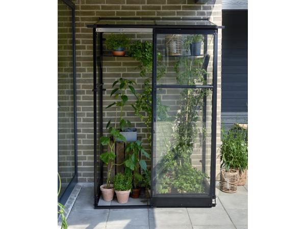 Tuinkas Qube LT 24, zwart, VG 3mm + PC 6 mm