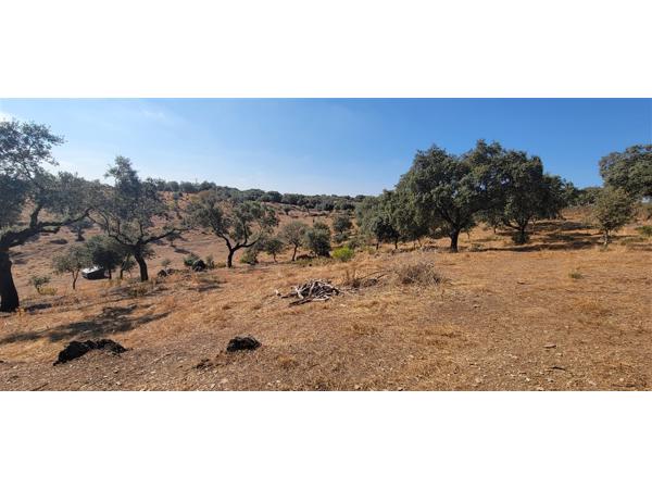 Jachtcabine met 3ha land /Extremadura/Madroñera/250.000€