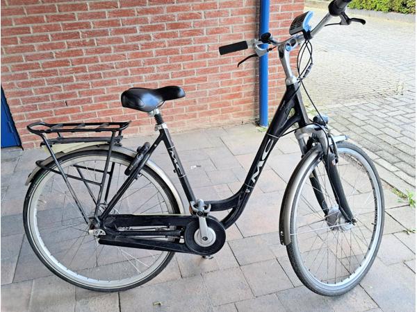 Elektrische Fiets, Multicycle