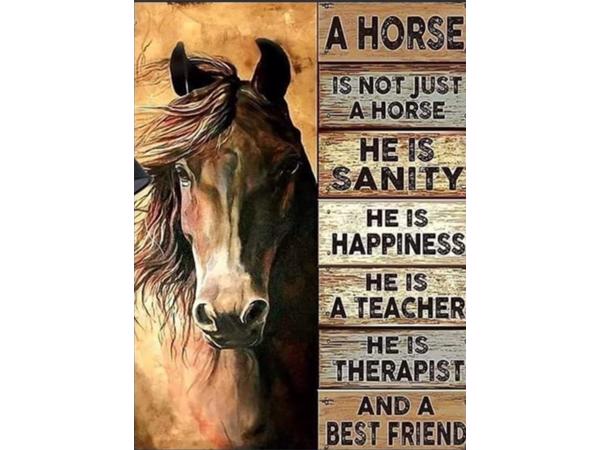 50x40cm Diamond Painting paard met tekst (rond) nr 2010