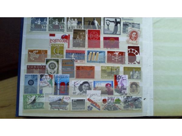 7 Insteekalbums 6,5 kg