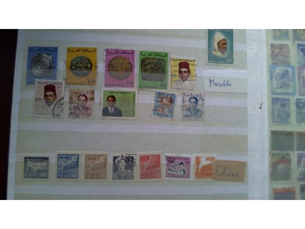 7 Insteekalbums 6,5 kg