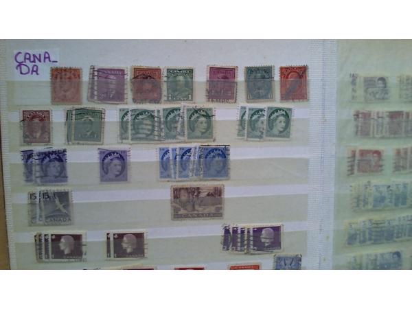 7 Insteekalbums 6,5 kg