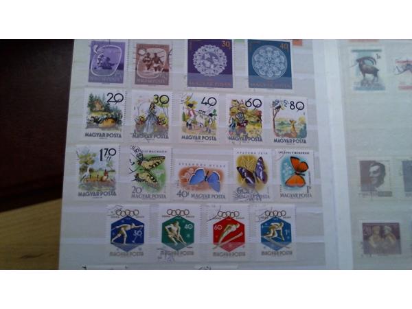 7 Insteekalbums 6,5 kg