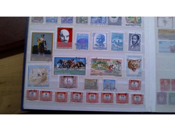 7 Insteekalbums 6,5 kg