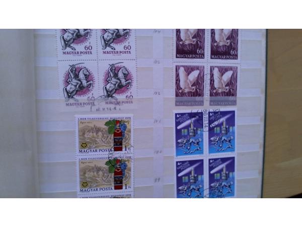 7 Insteekalbums 6,5 kg