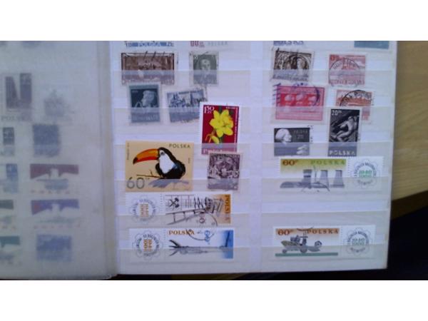 7 Insteekalbums 6,5 kg