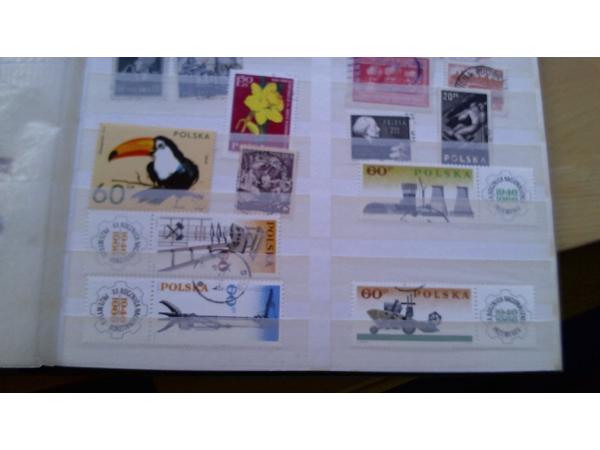 7 Insteekalbums 6,5 kg