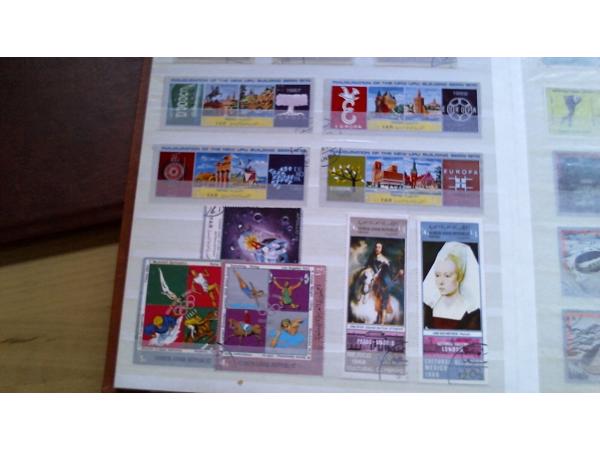 7 Insteekalbums 6,5 kg