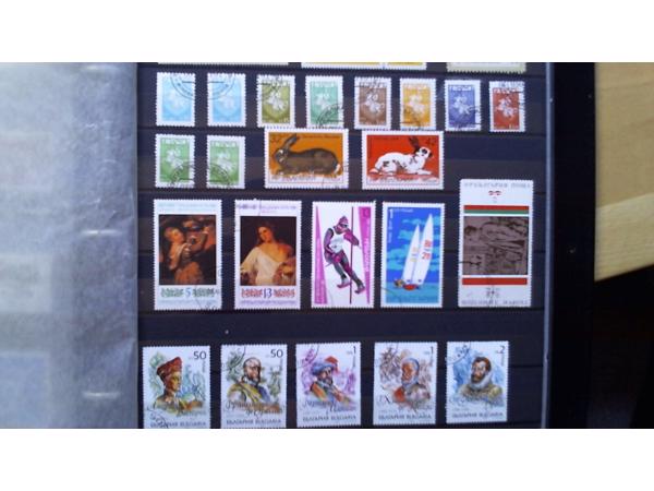 7 Insteekalbums 6,5 kg