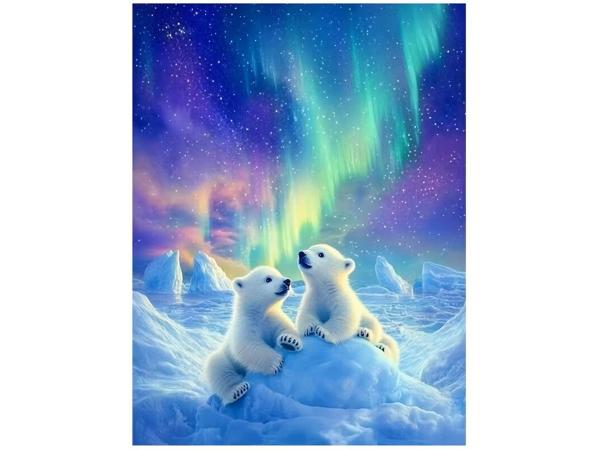 nr 18 Diamond Painting ijsberen 50x40cm (vierkant)