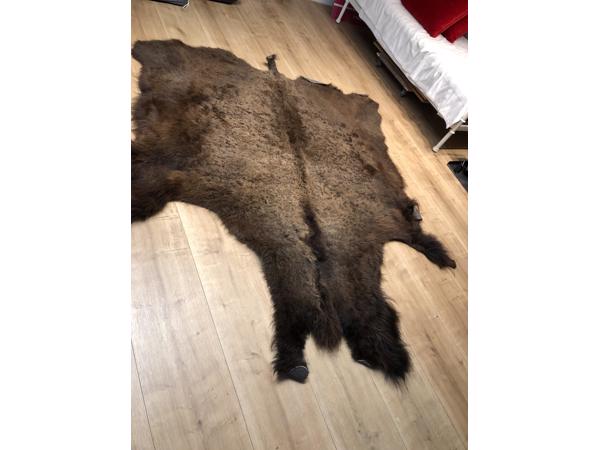 Bizonhuid (origineel uit America van de Indianen)