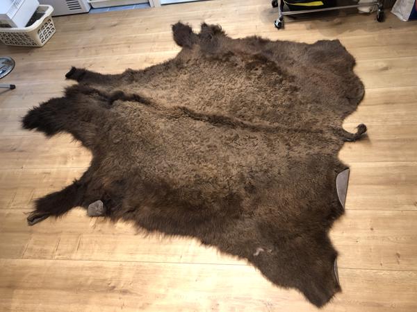 Bizonhuid (origineel uit America van de Indianen)