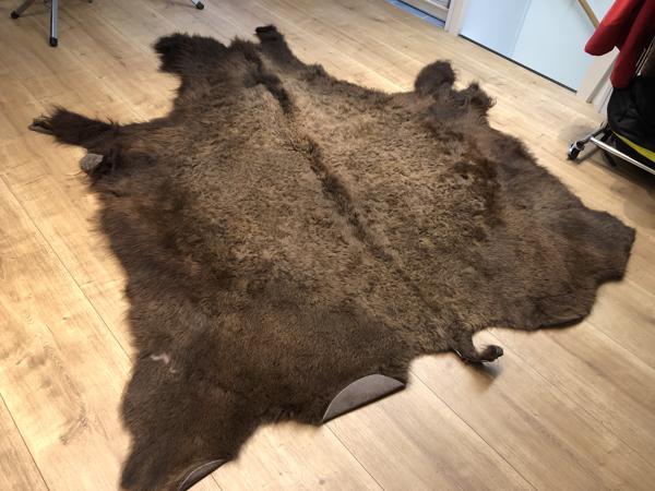 Bizonhuid (origineel uit America van de Indianen)