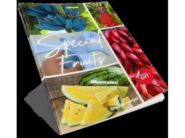 Special Fruits (photo ebook)