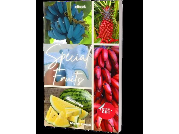 Special Fruits (photo ebook)