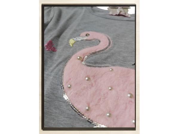 Seagull longsleeve t-shirt grijs flamingo we run 158/164