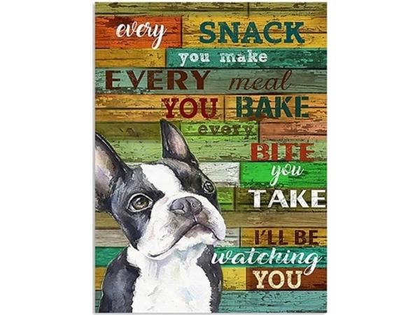 50x40cm Diamond Painting boston terrier (rond) nr 2044