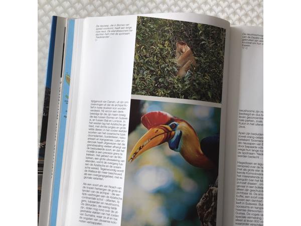 Boek van Indonesi&#xEB; prachtig en uniek land om te reizen TOP