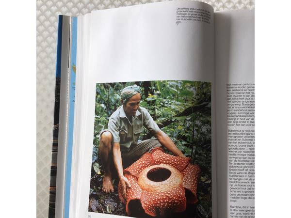 Boek van Indonesi&#xEB; prachtig en uniek land om te reizen TOP