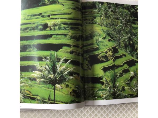 Boek van Indonesi&#xEB; prachtig en uniek land om te reizen TOP